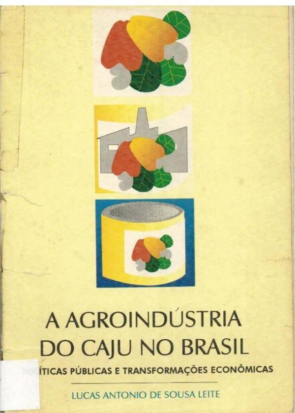 Agroindústria do Caju no Brasil, A